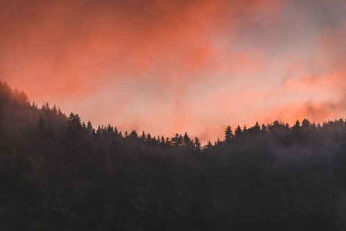 Free Mystical forest silhouette against a vibrant orange sunset sky. Stock Photo
