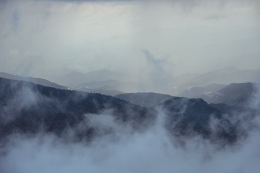 Serene mountain landscape with dense fog creating a moody atmosphere.