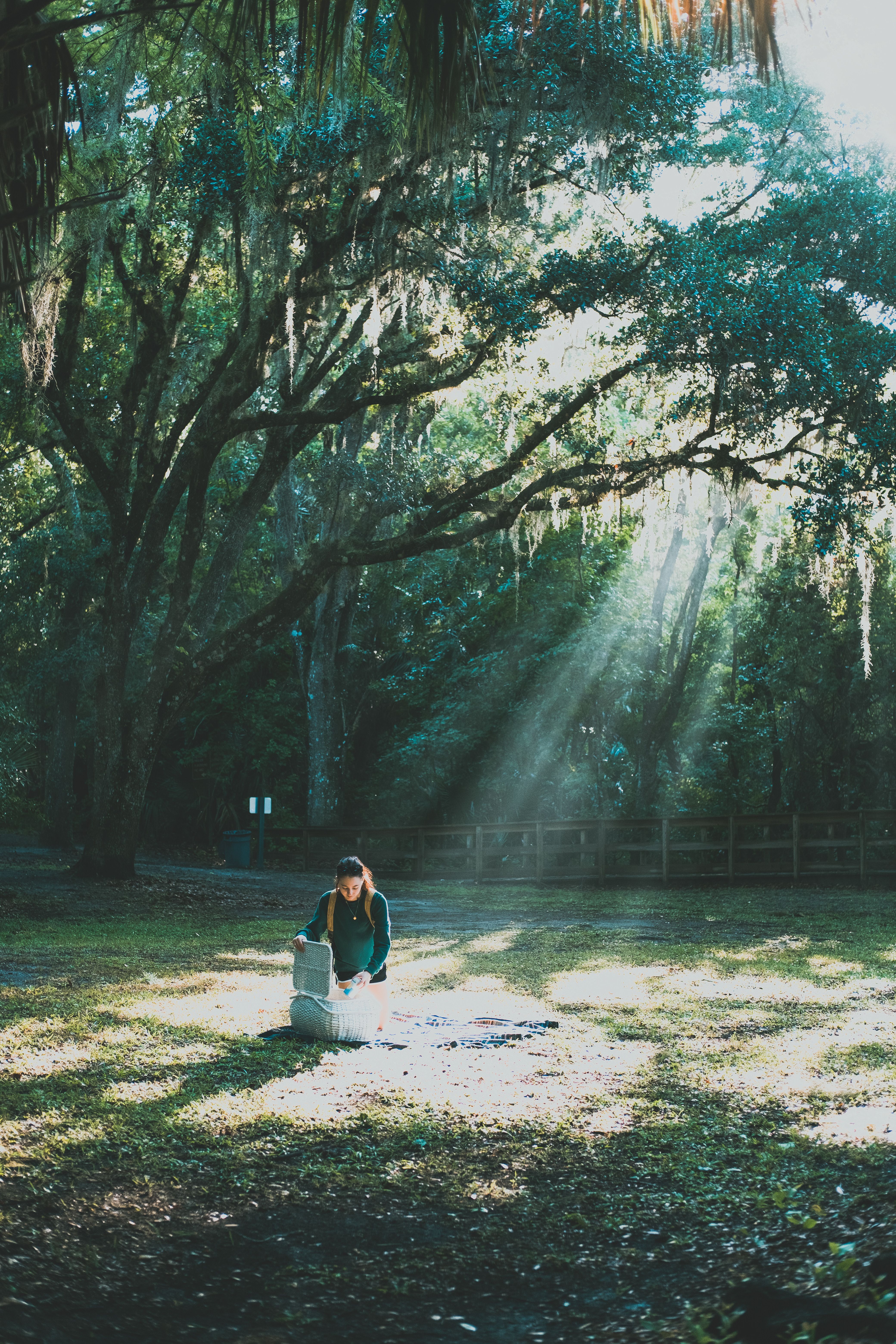 A Woman Sitting on Green Grass Field · Free Stock Photo