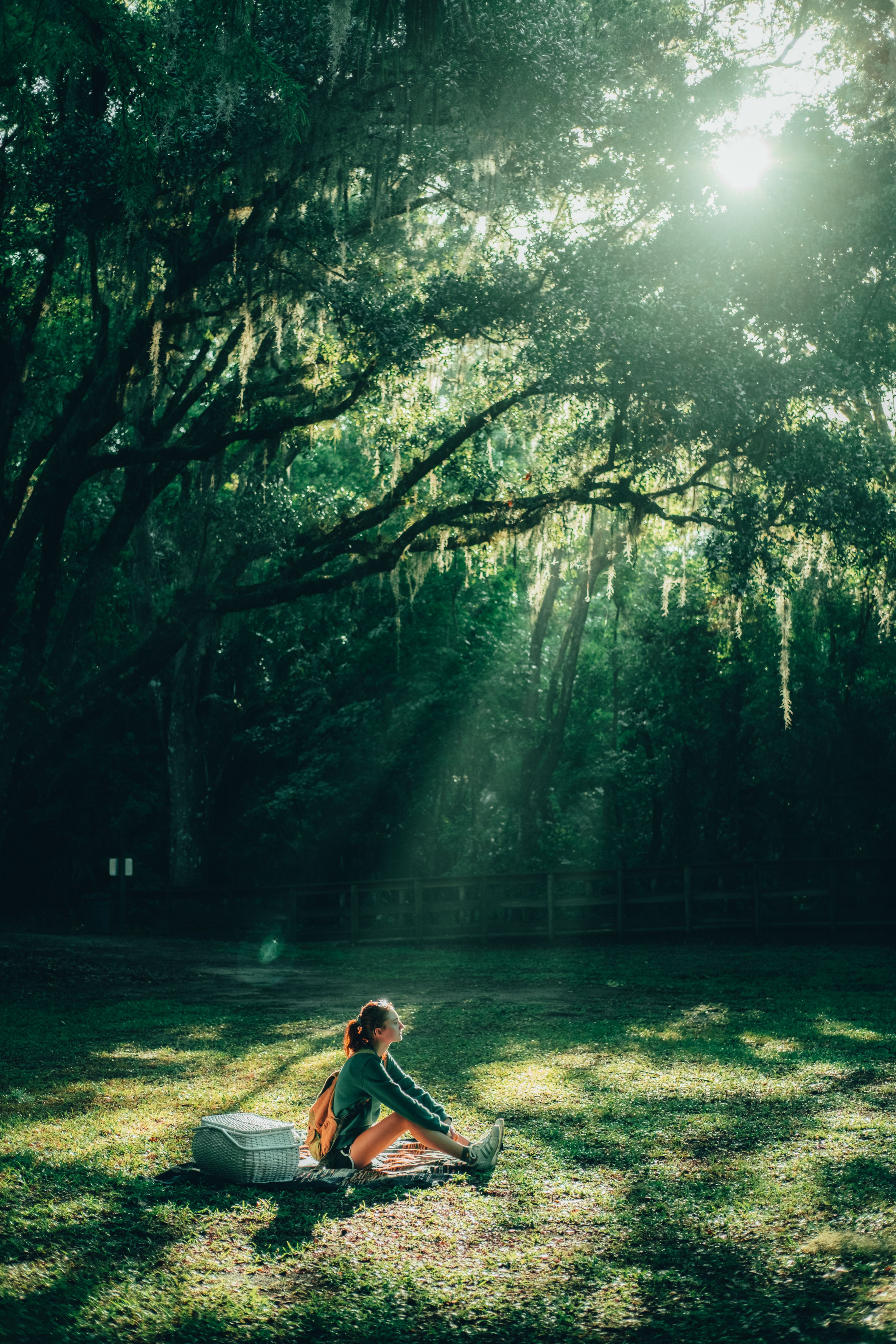 Woman Sitting on Green Grass Field under the Green Tree · Free Stock Photo