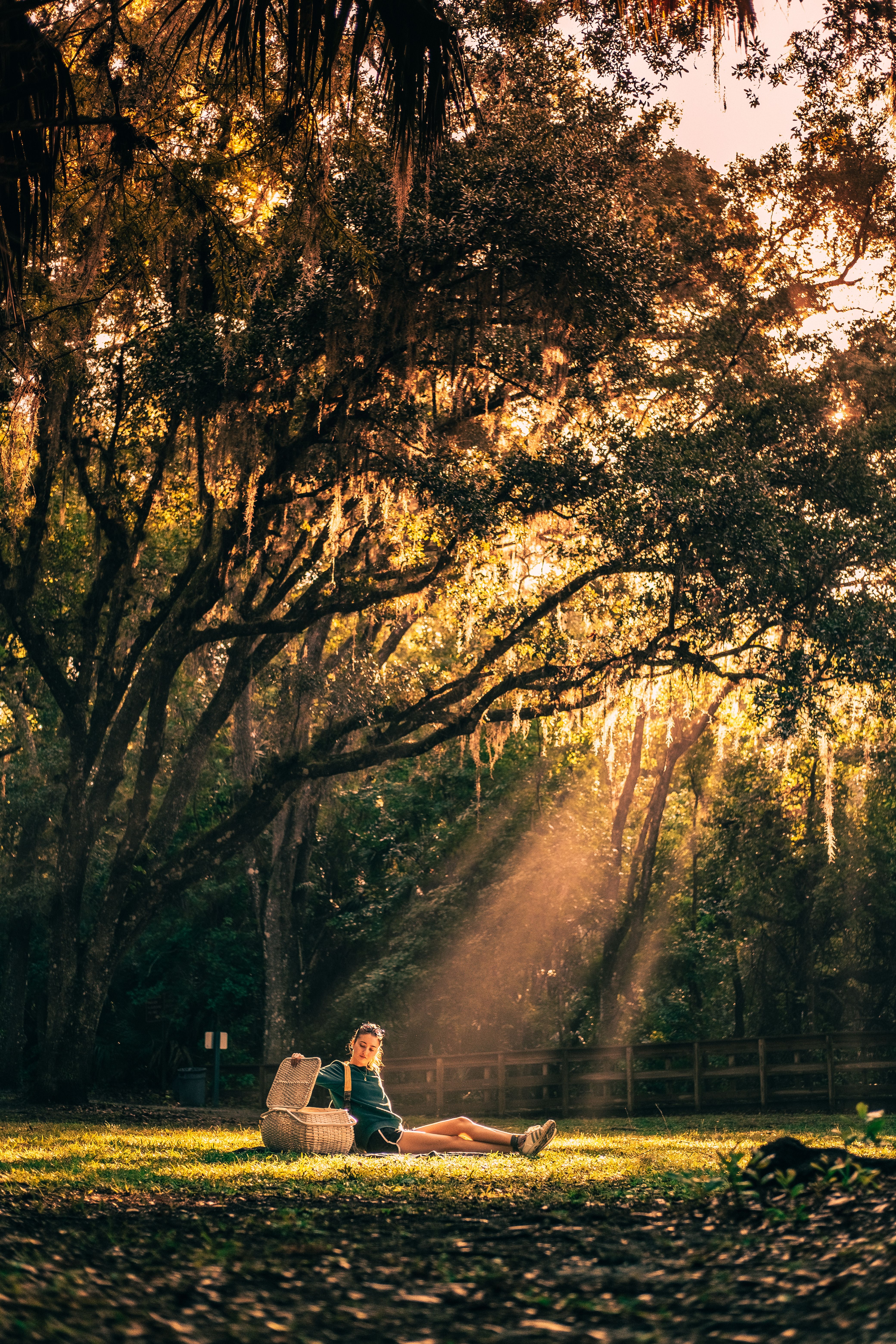 A Woman Sitting on Green Grass Field · Free Stock Photo