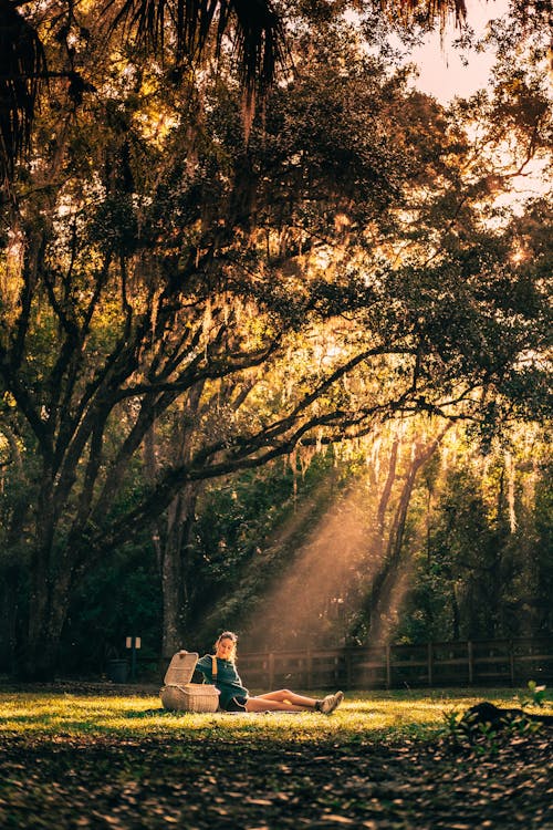 A Woman Sitting on Green Grass Field