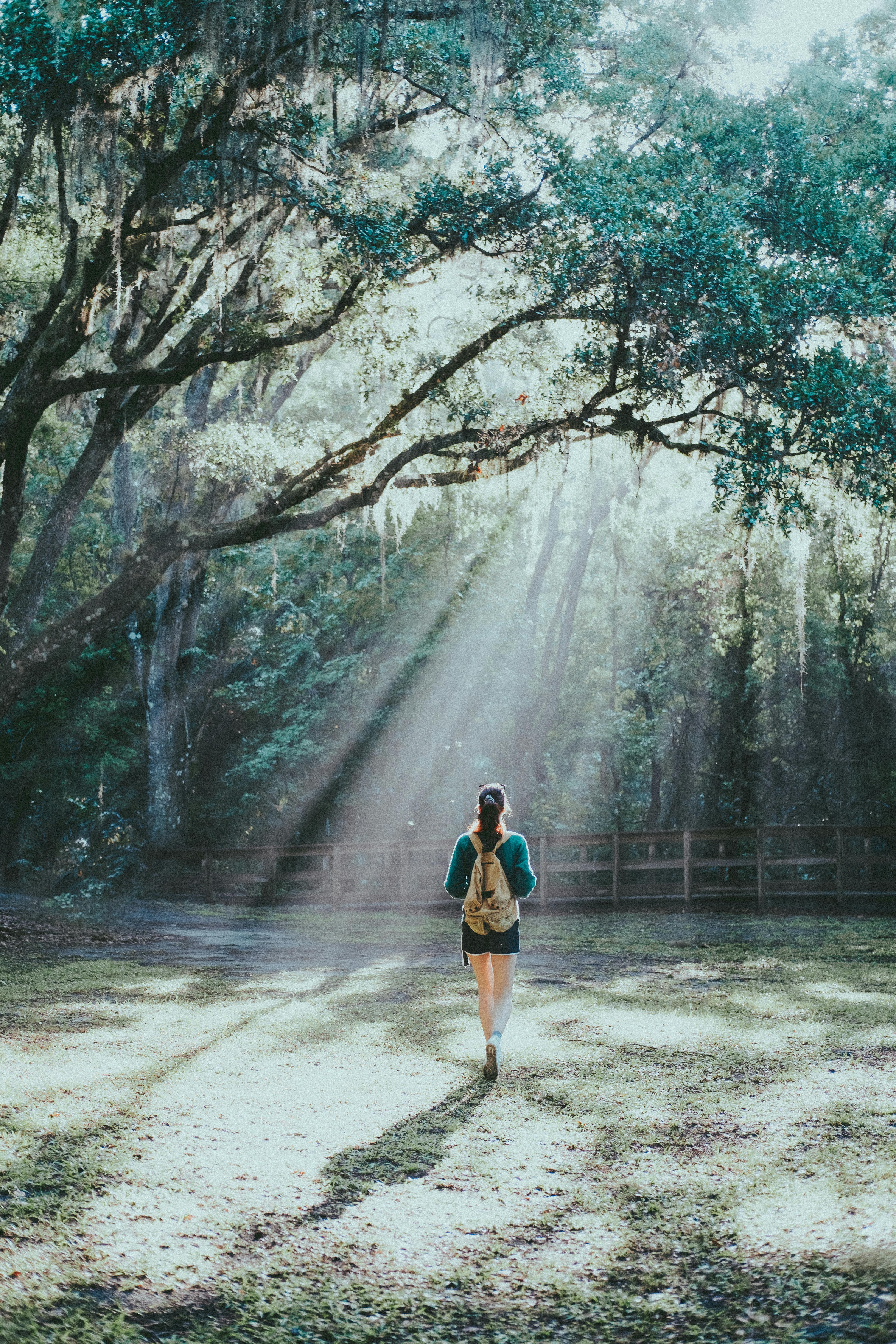 A Woman Standing under the Tree · Free Stock Photo
