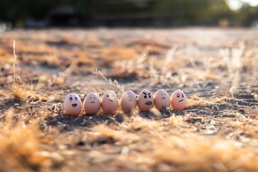 Creative capture of eggs with drawn faces displaying emotions on dry, grassy ground.