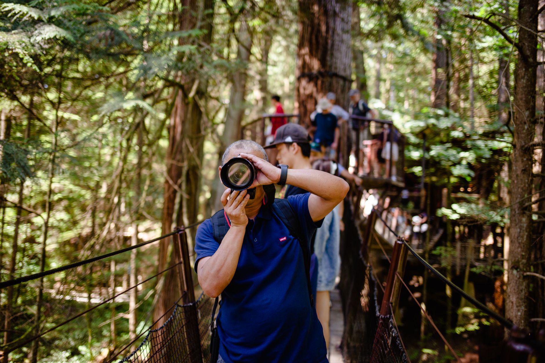 capilano suspension bridge vancouver forest canyon,