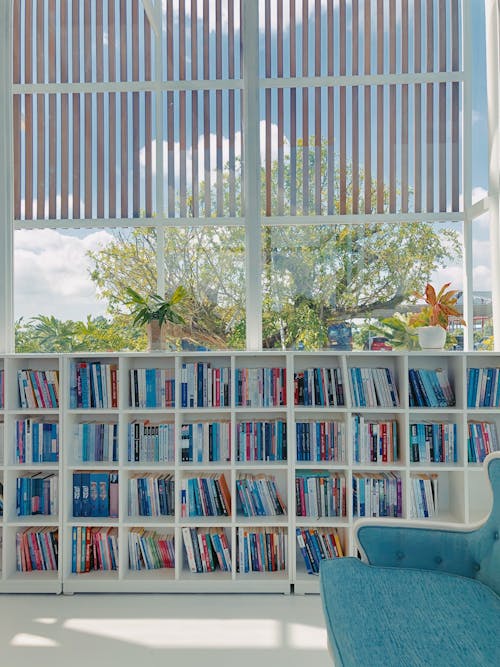 Free A Bookshelf by a Glass Window Stock Photo