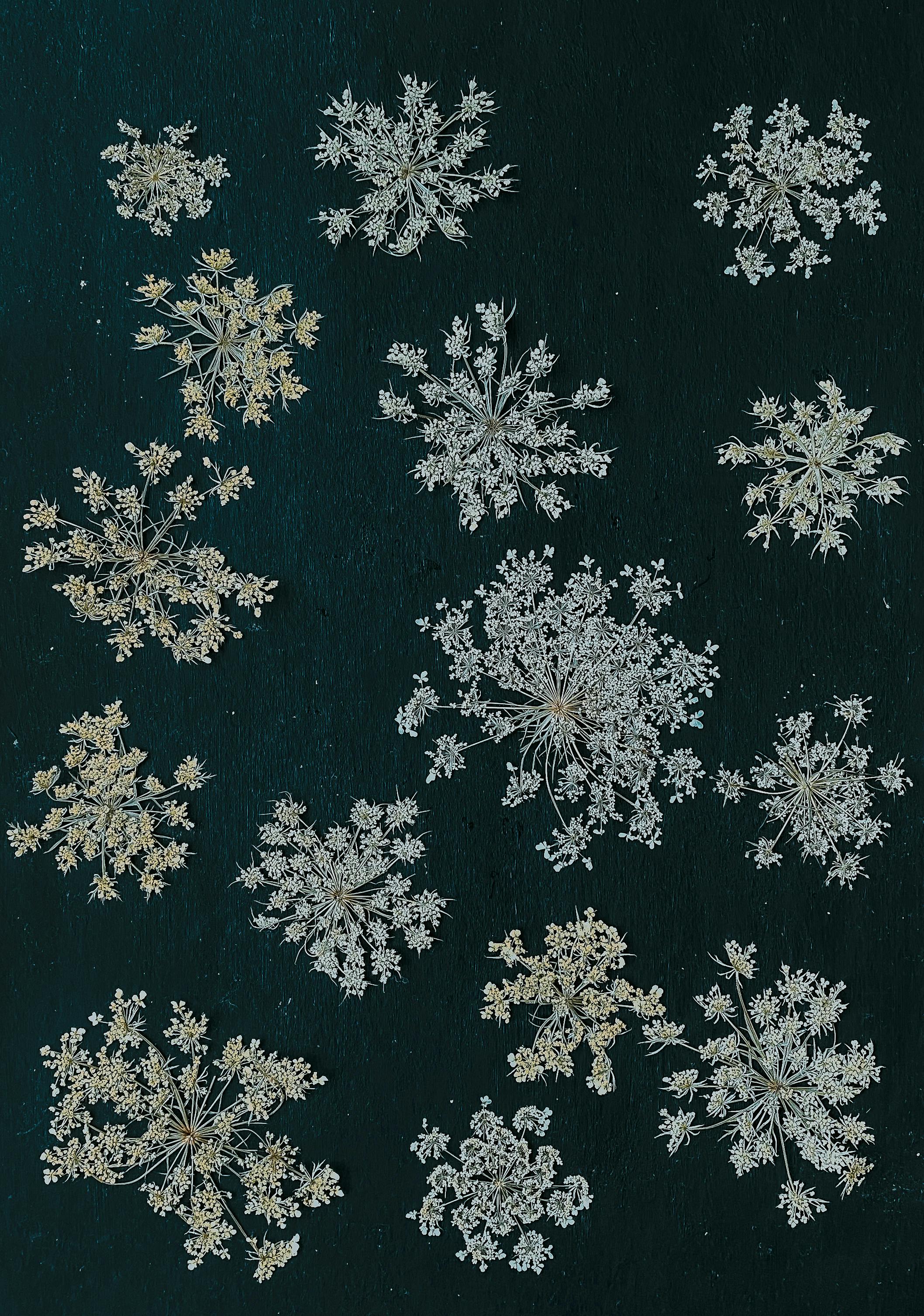 Patten Photos, Download The BEST Free Patten Stock Photos & HD Images