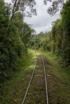 Peaceful railroad track stretching through a verdant forest, perfect for nature-themed designs.