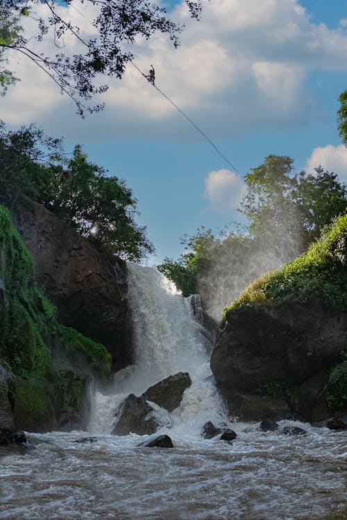 Бесплатное стоковое фото с вертикальный выстрел, водопад, лес