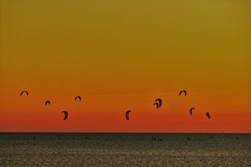 Darmowe zdjęcie z galerii z horyzont, kitesurfing, morze