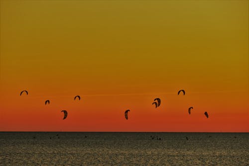 Gratis stockfoto met blikveld, h2o, kitesurfen