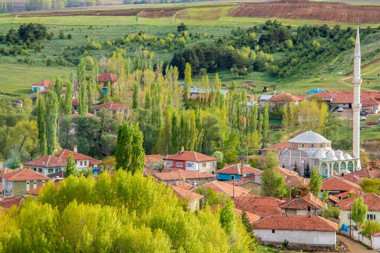 Rural Village In Summer