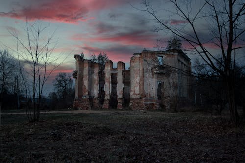 Leafless Trees Beside an Abandoned Building