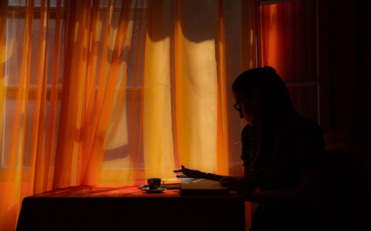 Silhouette Of A Woman Reading A Book