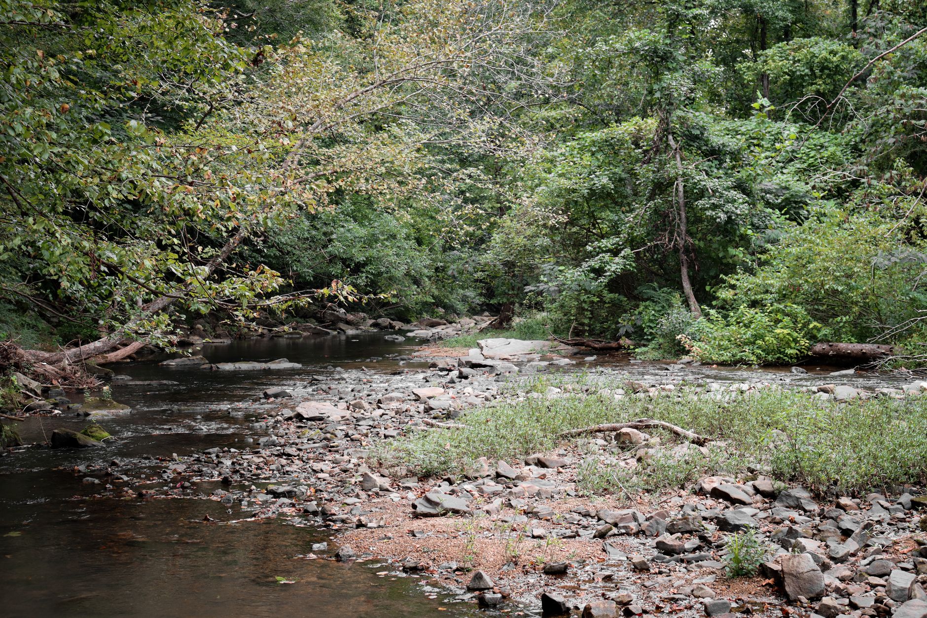 Serene forest creek with rocks and lush greenery in Pinson, AL.