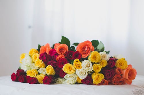 Free Red White and Yellow Rose Bouquet Stock Photo