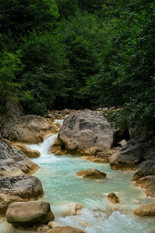 Free A peaceful forest setting featuring a flowing stream with large boulders and lush greenery. Stock Photo