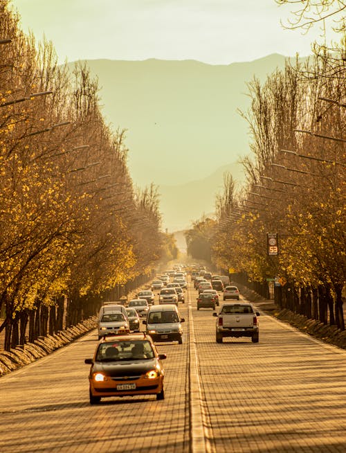 Imagine de stoc gratuită din autoturisme, drum, transport pe pamant