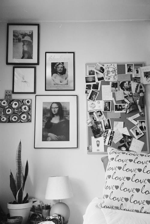 Imagine de stoc gratuită din alb-negru, perete, rame de tablouri