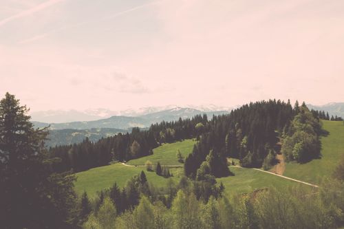 Free Serene mountain landscape with a dense forest and lush greenery under a bright day sky. Stock Photo
