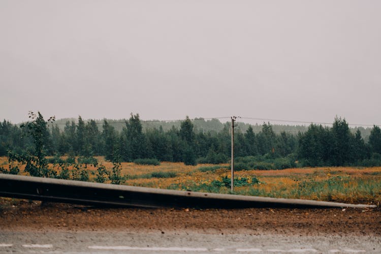 Road Safety Steel Barrier Near Brown Grass Field