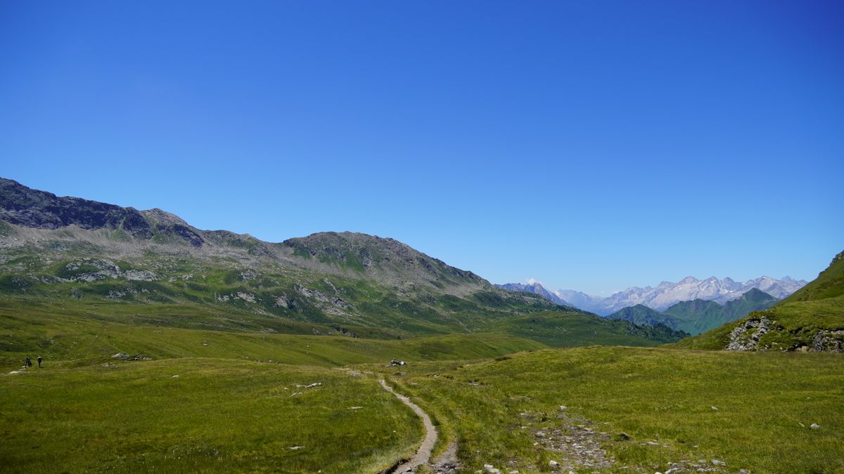 Sentiero escursionistico tra valli verdi e montagne sulle Alpi italiane
