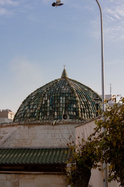 Roof of a Dome Building