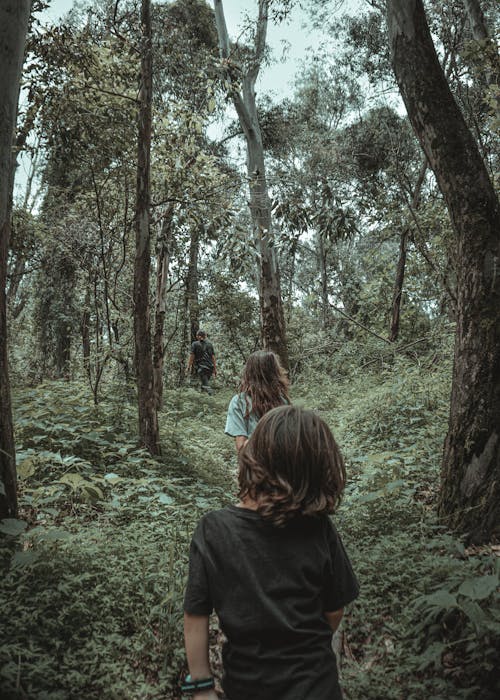 Children Walking on Forest Photo