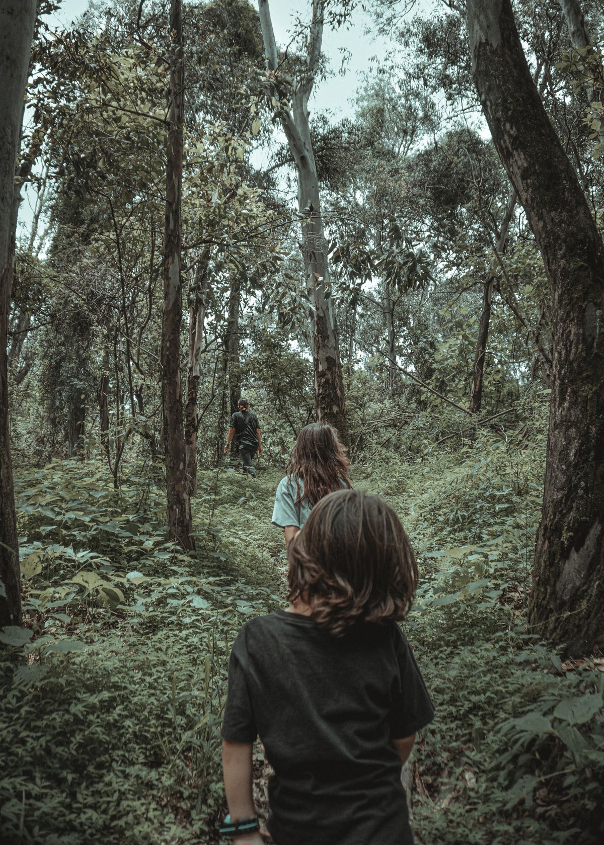 Famille marchant sur un sentier forestier, photo d’ambiance