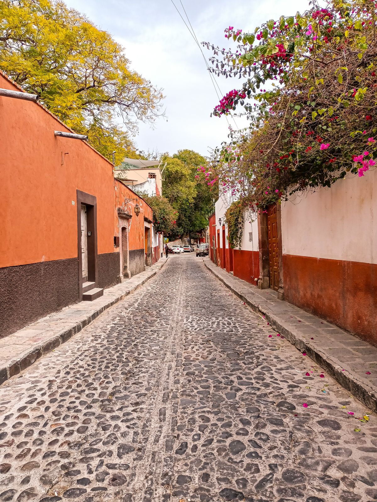 A vibrant cobblestone street lined with colorful buildings and blooming flowers in a historic village.