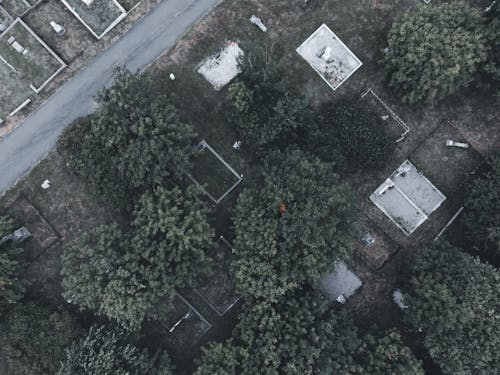 Darmowe zdjęcie z galerii z cmentarz, drzewa, fotografia lotnicza