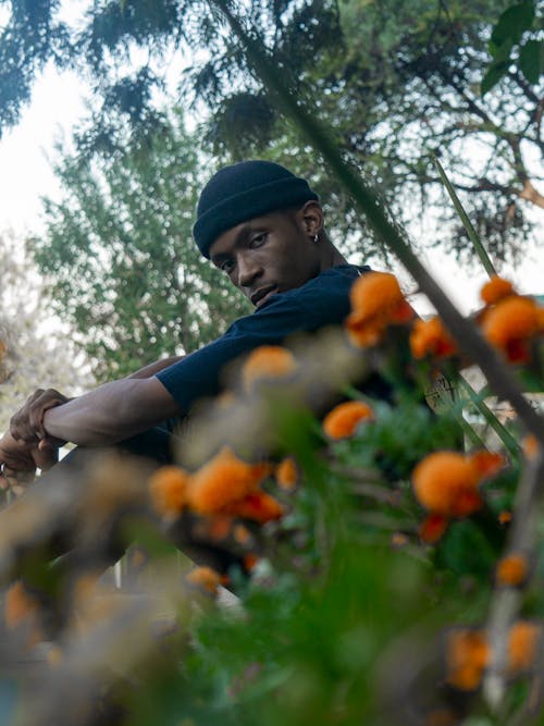 Free stock photo of african man, flowers, summer