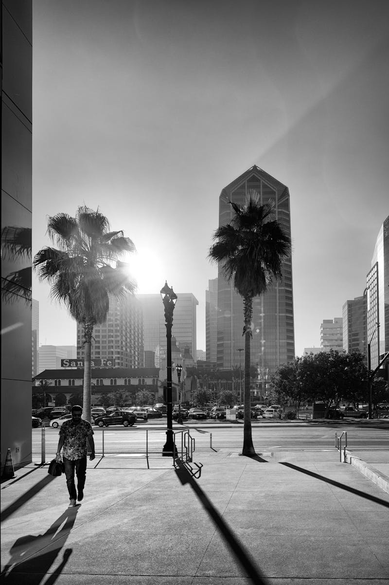 San Diego waterfront and skyline view
