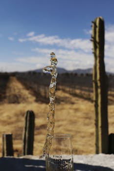 Artistic water splash captured against a desert backdrop with cacti, illustrating motion and natural beauty.