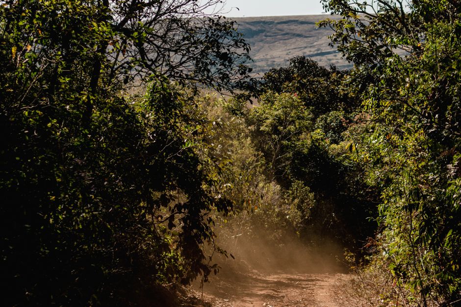 Best Petrópolis Teresópolis Trekking Expedition - 3 Days - PARNASO - Rio de Janeiro Review 2026 - Explore the natural beauty of São Thomé das Letras with this serene dirt path in a lush forest landscape.