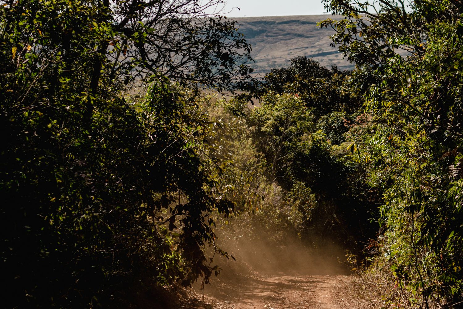Dusty Path Abstract Dusty Path Photos, Download The BEST Free Dusty Path Stock Photos & HD ...