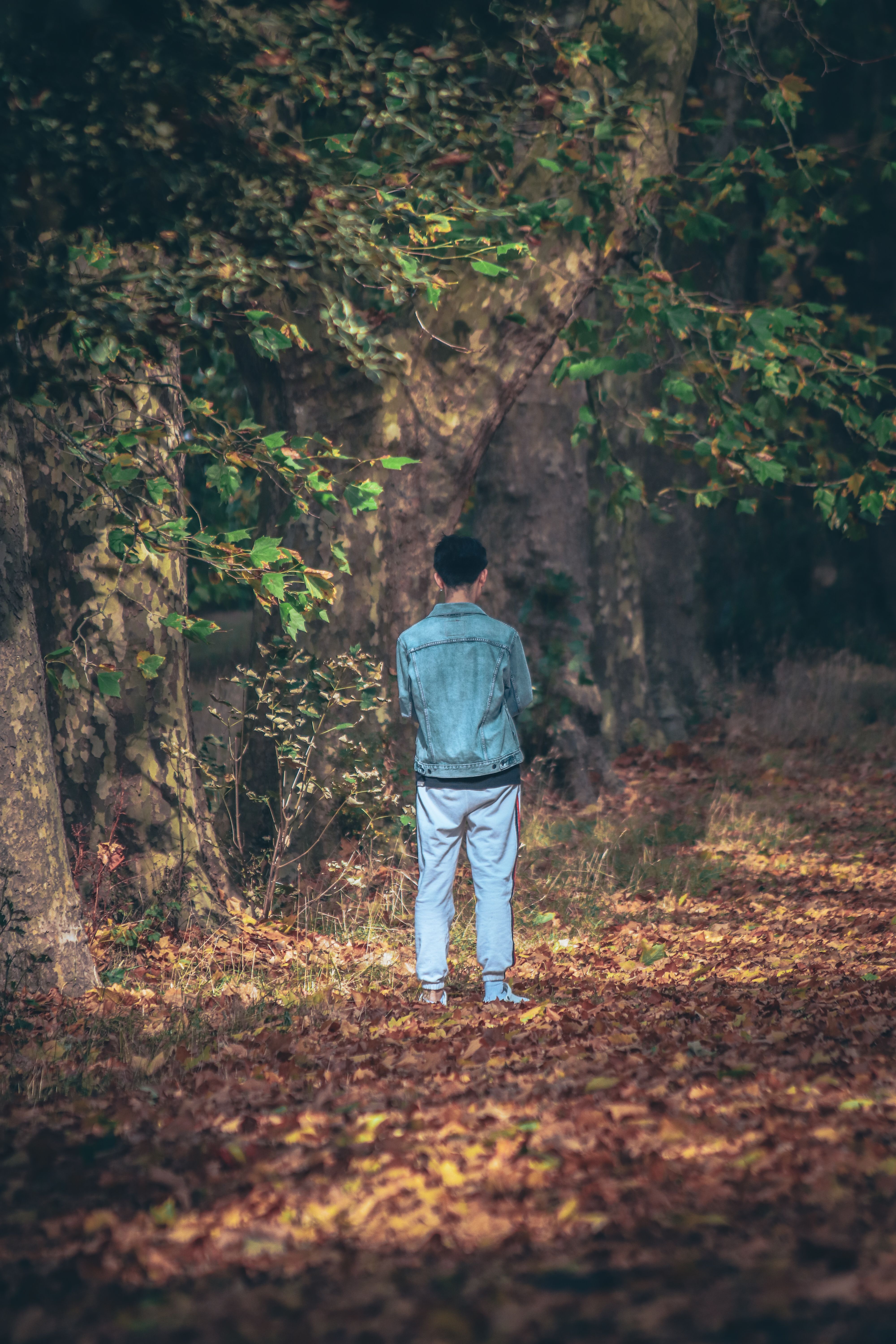 A Man in Blue Denim Walking on Dried Leaves · Free Stock Photo