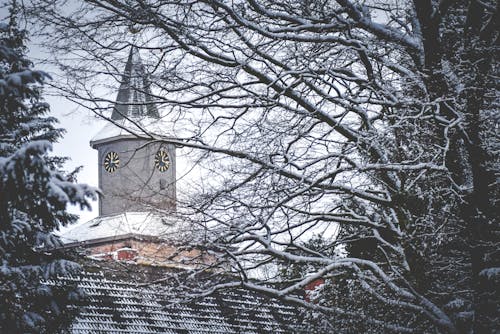 Ảnh lưu trữ miễn phí về giáng sinh, mùa đông, nhà thờ