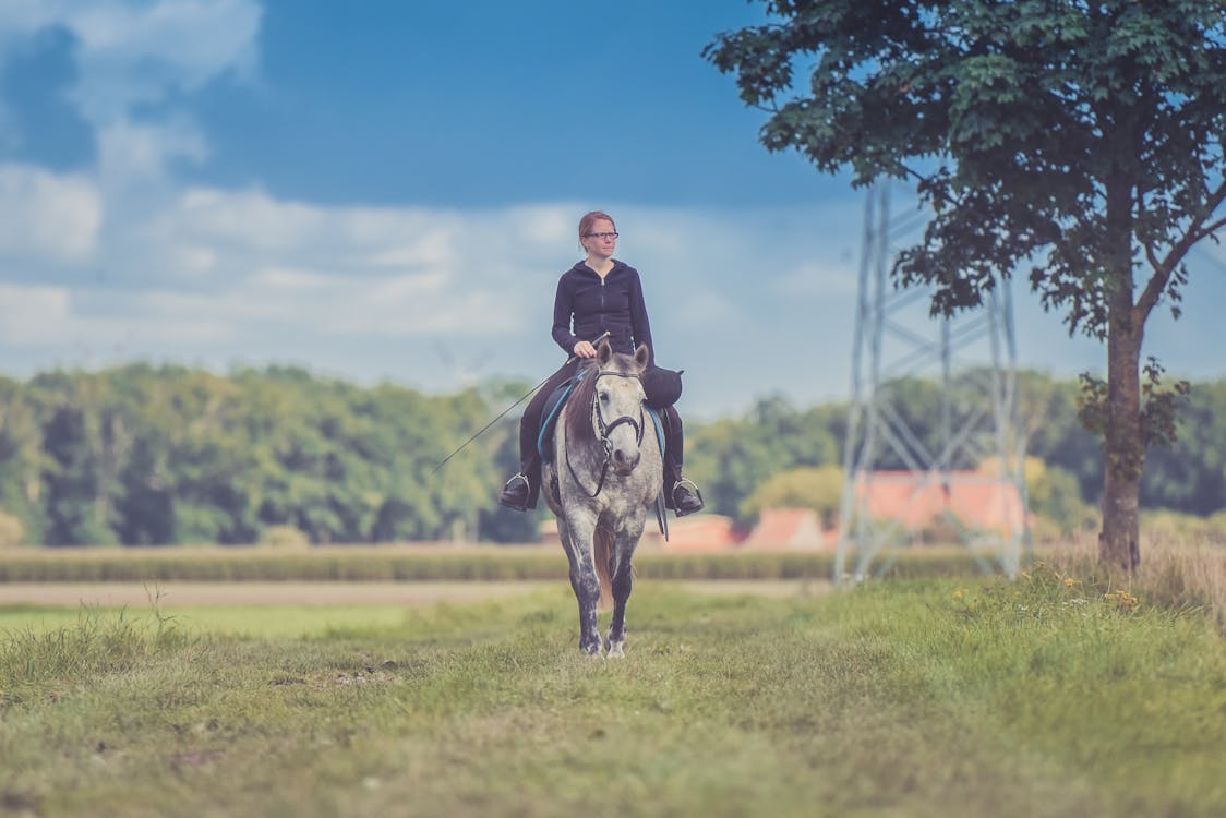 Free Woman Riding Horse Near Tree Stock Photo