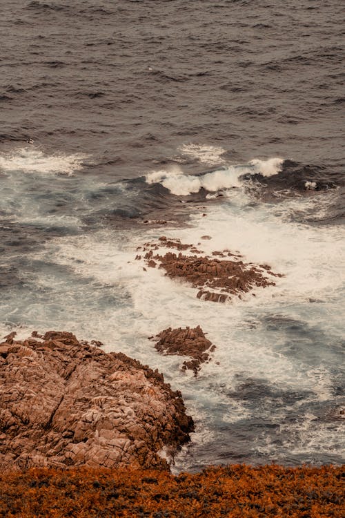 Darmowe zdjęcie z galerii z fala, morze, pionowy strzał