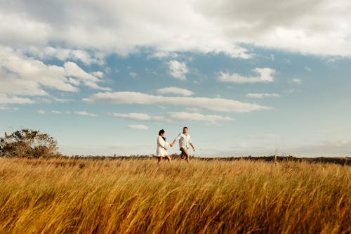 Gratis stockfoto met blauwe lucht, blij, blikveld