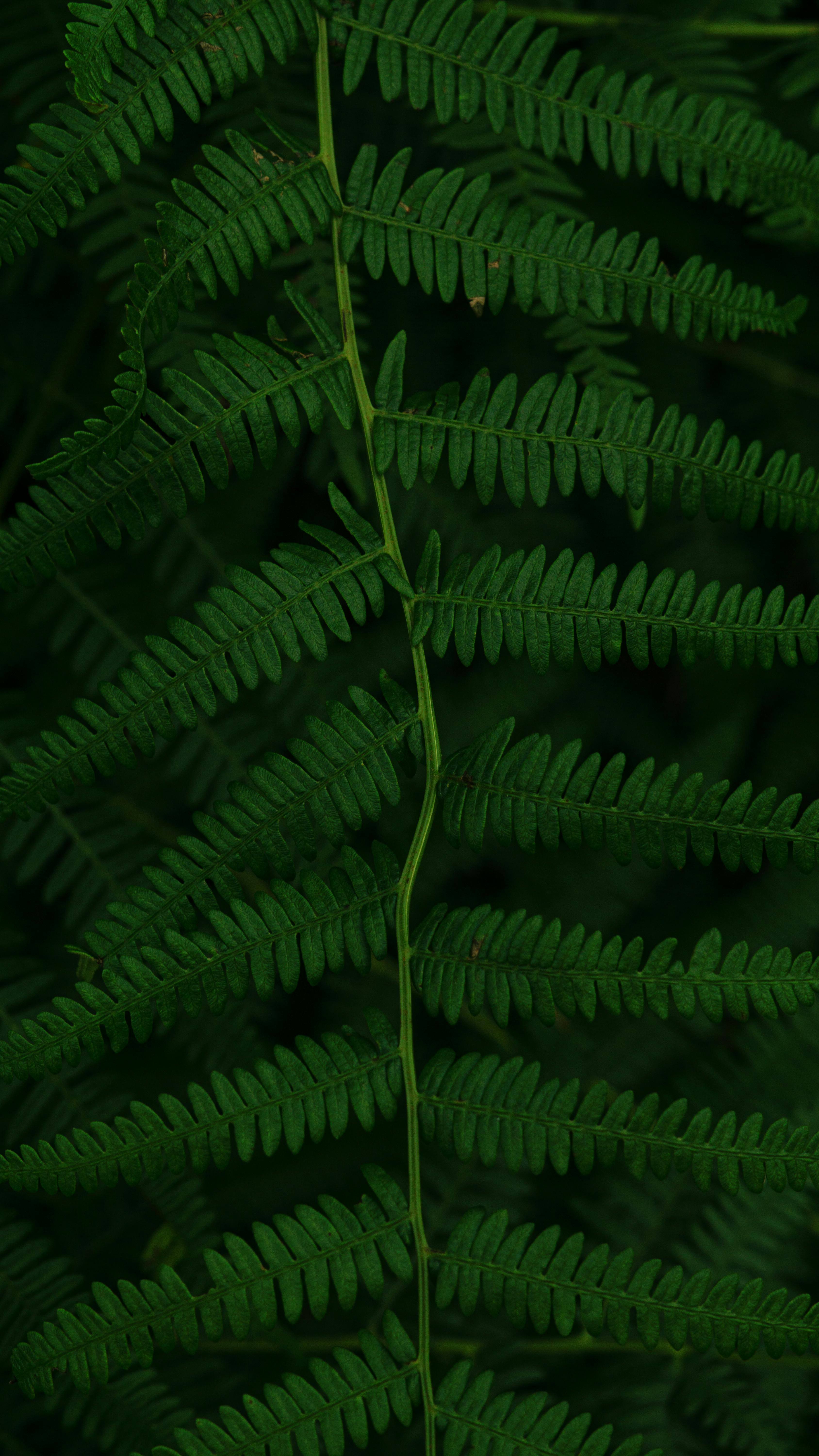 유튜브 구독자 증가