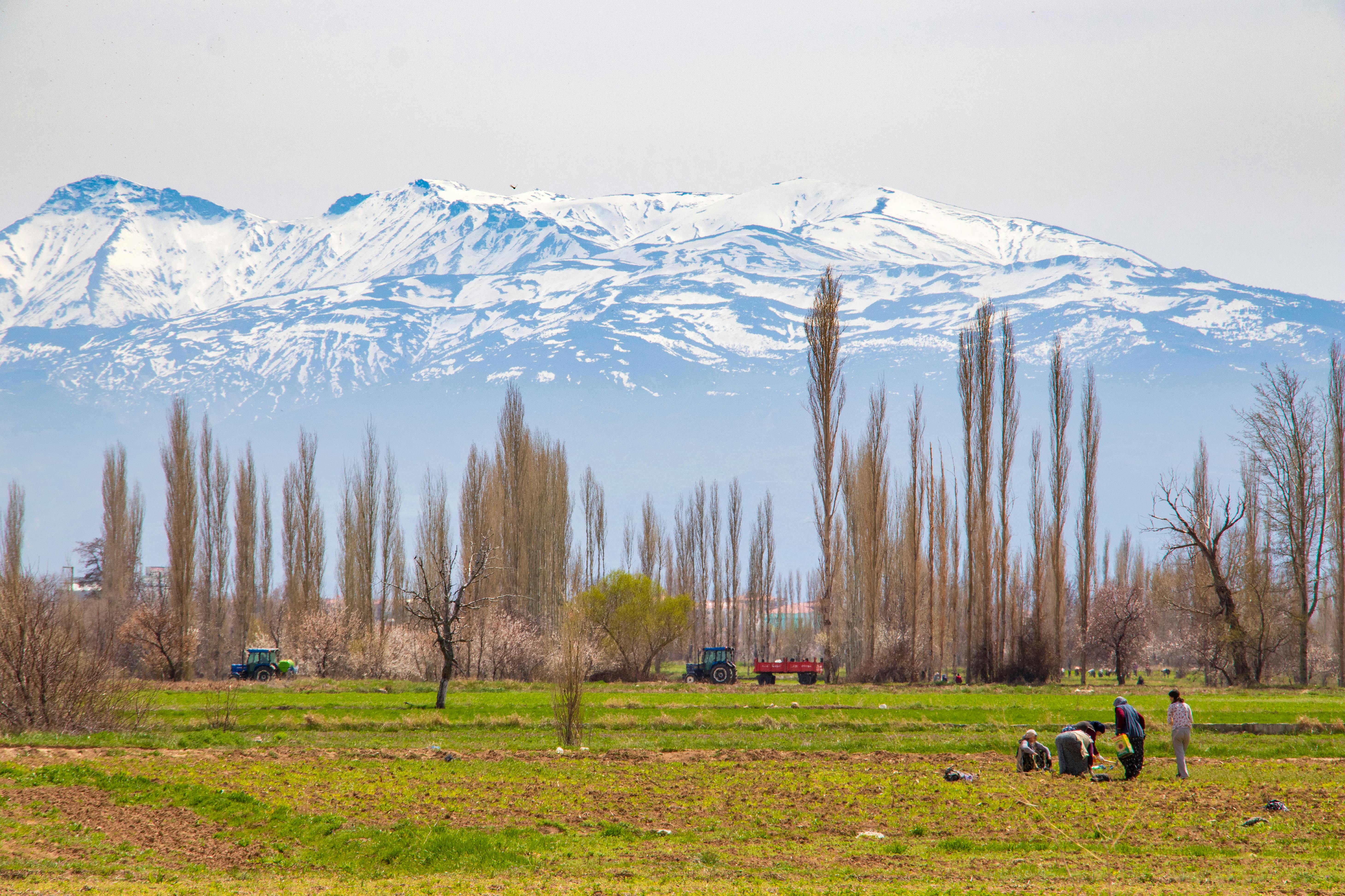 Do humans have any natural weapons?