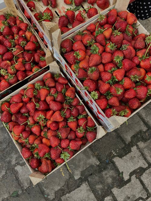 Red Strawberries in Wooden Crates