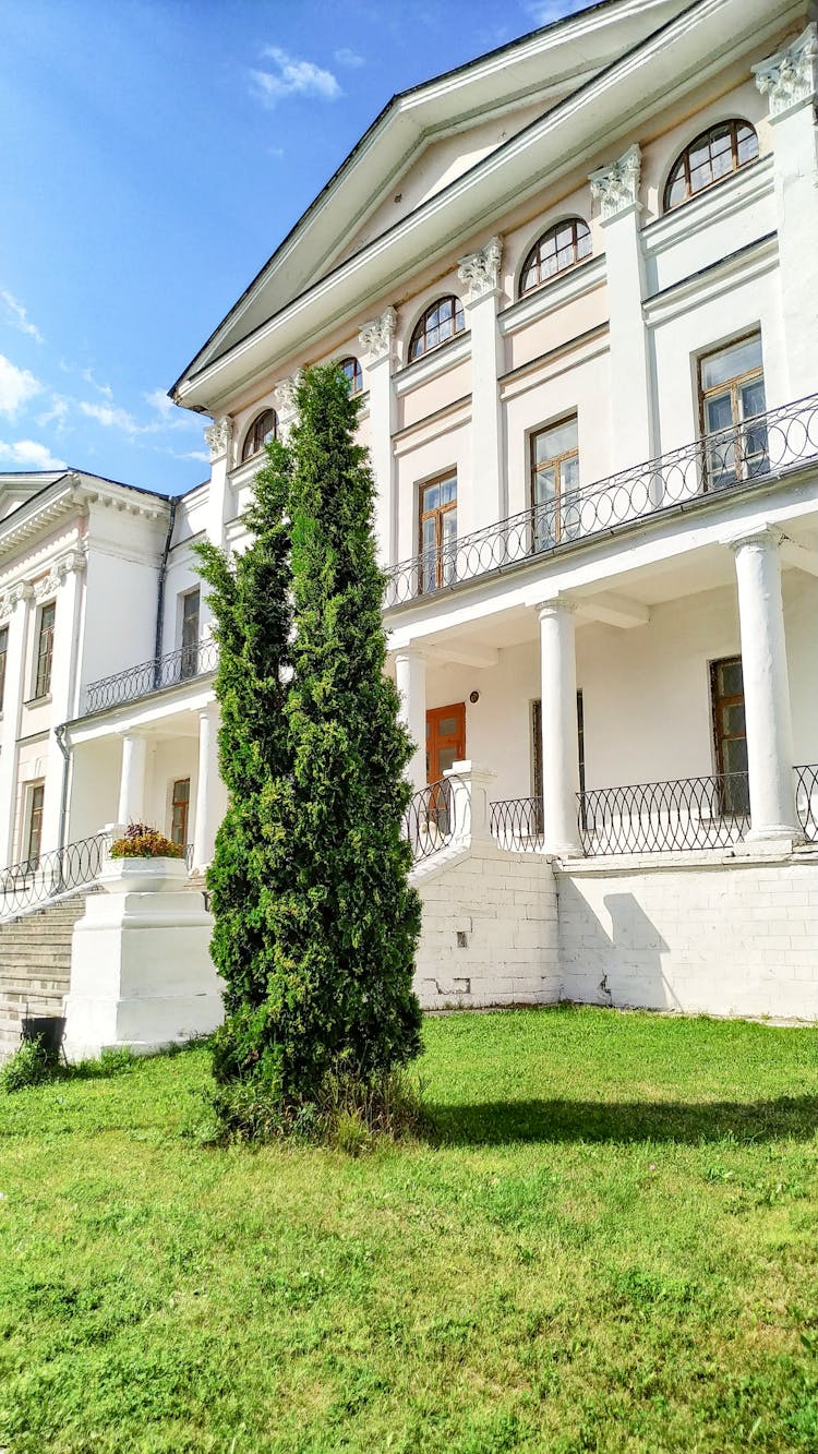 Green Tree In Front Of White Concrete House