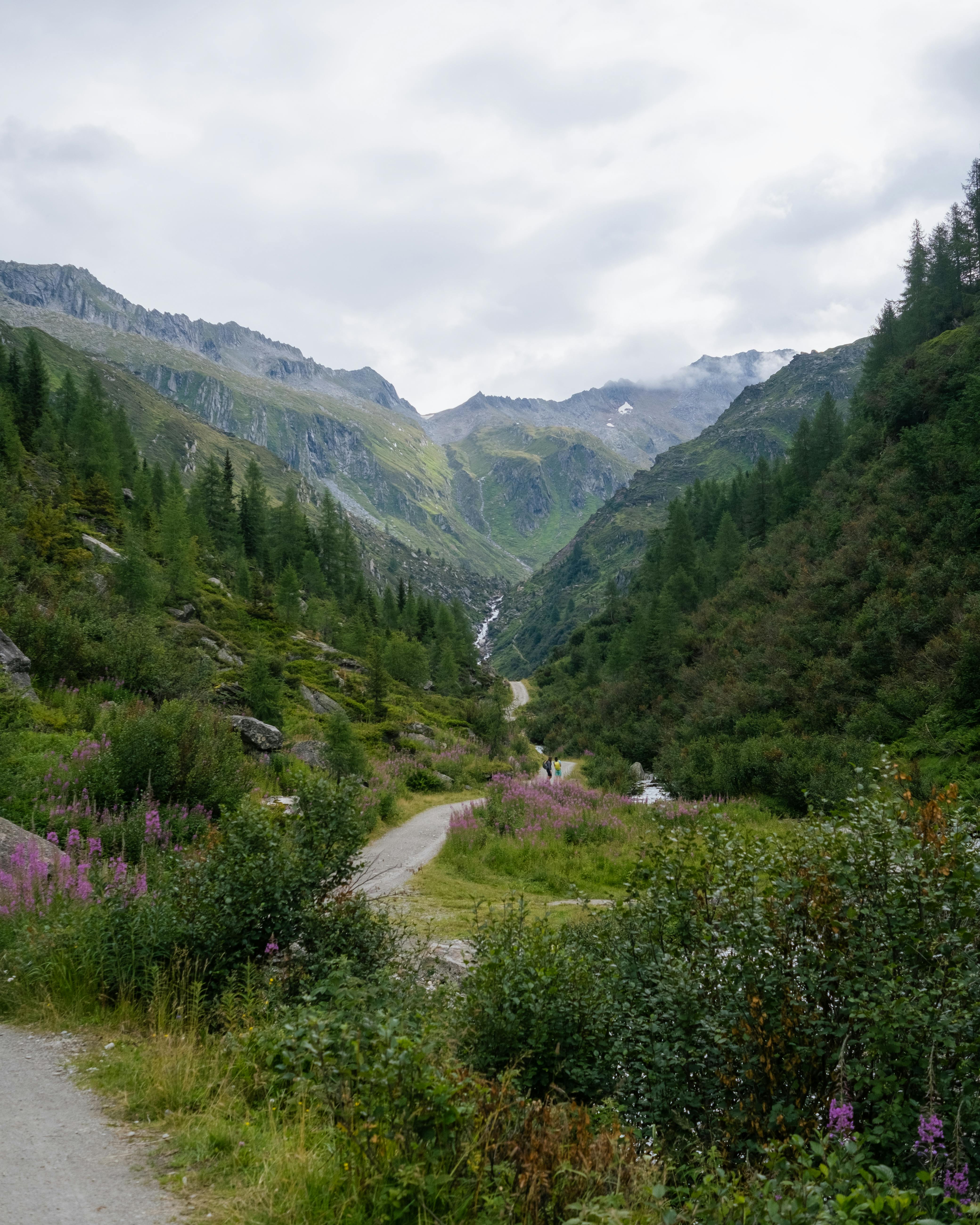 Explore the tranquil beauty of Valle Aurina with lush greenery and stunning mountain views.