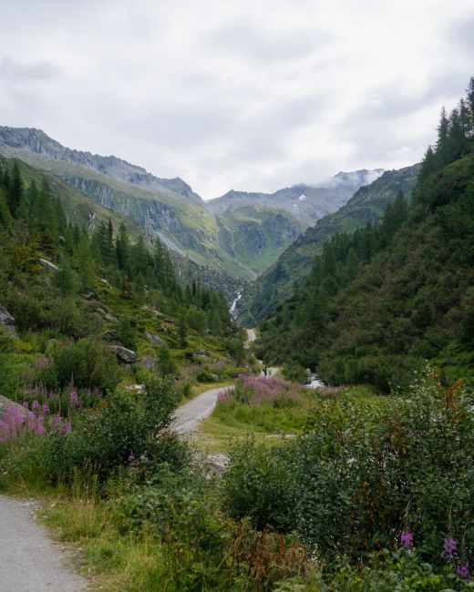 Explore the tranquil beauty of Valle Aurina with lush greenery and stunning mountain views.