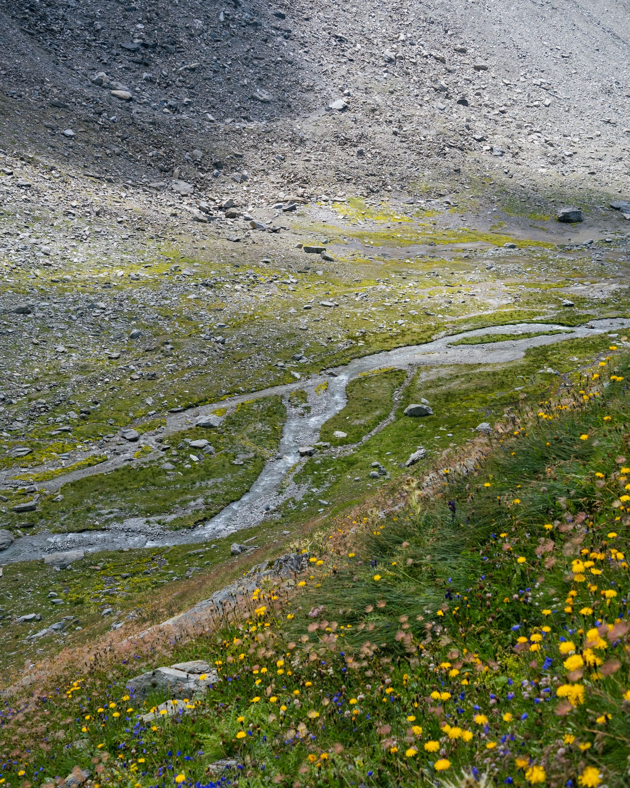 Valley of Flowers