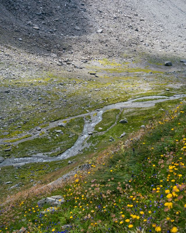 Valley of Flowers & Arogya Van