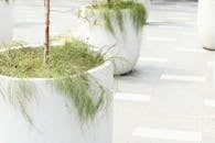 White Concrete Pots with Green Plants